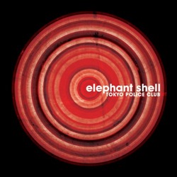 11426-elephant-shell